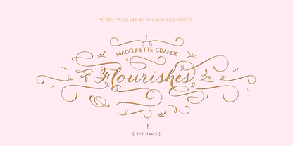 Madelinette Grande Flourishes 2