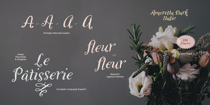 Amoretta Dark + Italic Bundle