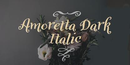 Amoretta Dark + Italic Bundle
