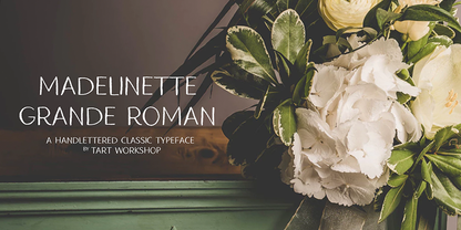Madelinette Grande Roman