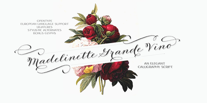 Madelinette Grande Vino