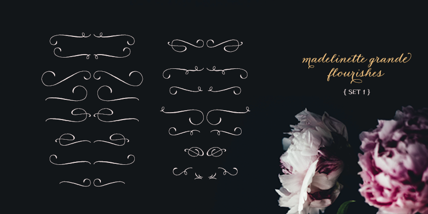 Madelinette Grande Flourishes 1