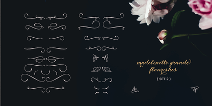 Madelinette Grande Flourishes 2