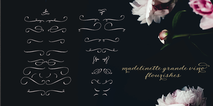 Madelinette Grande Vino Flourishes